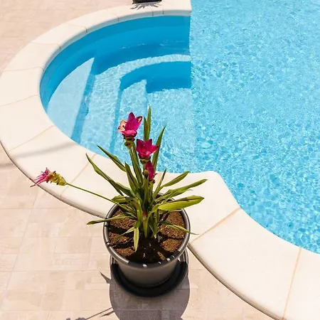 House Pako Holiday home *